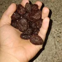 آلوی درشت تازه