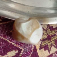 سنگ|کلکسیون اشیاء عتیقه|کرمان, |دیوار