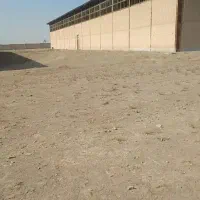 فروش   زمین های هکتاری  کاربری  صنعتی البرز|فروش دفتر صنعتی، کشاورزی، تجاری|کرج, کمال‌شهر|دیوار