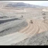 فیش فضای سبز