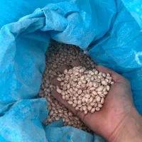 لوبیا چیتی سرحد خوب