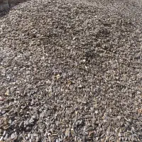 فروش تخمه آفتابگردان کانادایی|خوردنی و آشامیدنی|دهگلان, |دیوار