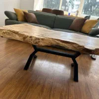 همخونه همخانه