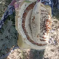 عسل محلی زنبور ریز|خوردنی و آشامیدنی|مهر, |دیوار