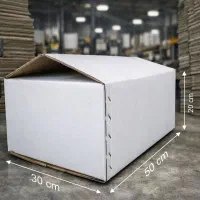 انواع کارتن آماده