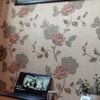 تابلو طرح صد دلاری