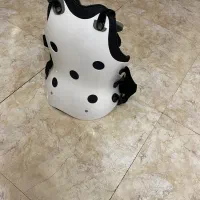 کمربند مخصوص ستون فقرات|آرایشی، بهداشتی، درمانی|تهران, ایوانک|دیوار