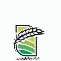 حسابدار