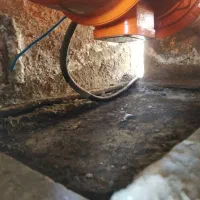 نیازمند نیروی کاری