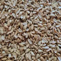 بادام زمینی و کره بادام زمینی|خوردنی و آشامیدنی|قم, دورشهر|دیوار