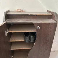 جاکفشی سالم