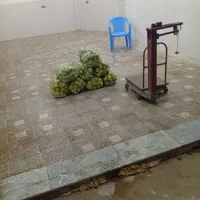 فروش پرتقال گنبکی|عمدهفروشی|گنبکی, |دیوار