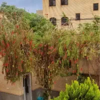 330مترویلایی-شمالی-مناسب-ساخت-و-بازسازی