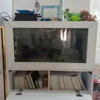 اکواریوم