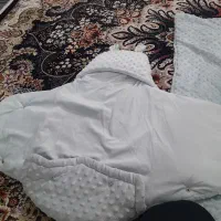 اساس نوزاد