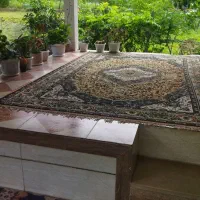 ویلا جنگلی