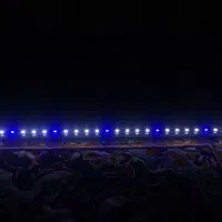 نور حرفه ای ۸۰سانتی|گل و گیاه طبیعی|رشت, منظریه|دیوار