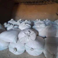 تحویل کاه به دامداری و گاو داری