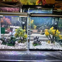 آکواریوم آبتین با ۲۵ سال سابقه در شهرک گلستان|ماهی|شیراز, شهرک گلستان|دیوار