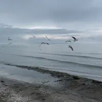 ۴۳۰ متر/کاربری مسکونی/۱۵۰ متر تا لب دریا|فروش زمین و ملک کلنگی|پره‌سر, |دیوار