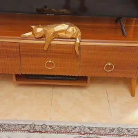 تعدادی لوازم منزل نو نو دو سال خریداری شده|مبلمان خانگی و میز عسلی|تهران, سبلان (لشگر)|دیوار
