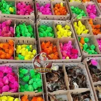 پخش جوجه رنگی ماشینی خروسک در ۱۰ رنگ