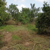 خونه باغ با بنای قدیمی۶۰۰متری