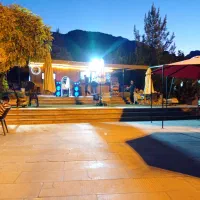 دعوت به همکار خانم واقا جهت کار در کافیشاپ