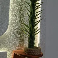 تابلو دکوراتیو زنده پتینه کاری شده|تابلو، نقاشی، عکس|تهران, طرشت|دیوار