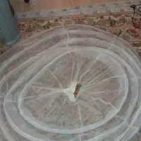 لباس عروس ژپون کرایه یافروش|لباس|تهران, شهران جنوبی|دیوار