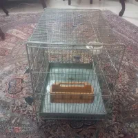 قفس سهره حسین فضلی سایز4 با لوازم