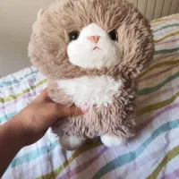 فروش انواع عروسک.|اسباب‌بازی بچه|بابل, |دیوار