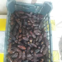 خرید فروش خرما|خوردنی و آشامیدنی|داراب, |دیوار