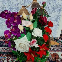 گل رومیزی نو بزرگ