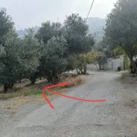 فروش زمین باغی مسکونی (قولنامه ای)|فروش زمین و ملک کلنگی|رودبار, |دیوار