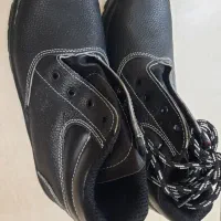 کفش ایمنی پادکس