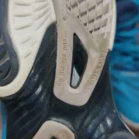 کفش والیبال آسیکس|کیف، کفش، کمربند|کردکوی, |دیوار