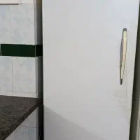 یخچال تمام فریزردرحدنو یک ماه کارکرده است