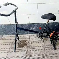 دوچرخه ثابت