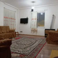 سوئیت جنگلی