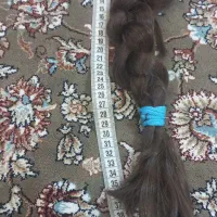 موی طبیعی خرمایی  کاملا سالم ۴۵ سانت بافته شده