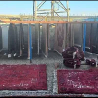 قالیشویی ارس(اهر)