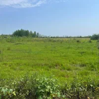 زمین مسکونی و جای آب هوای خوب|فروش زمین و ملک کلنگی|تولم شهر, |دیوار