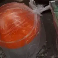 کالسکه روروئک آب پرتغال گیری دوچرخه