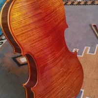 ویالن نیمه حرفه ای|ویولن|شیراز, شهرک قمشه|دیوار