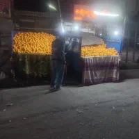 سوغات شمال پرتقال تامسون رسید