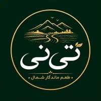 جذب نیروی کار در مجموعه تی‌نی