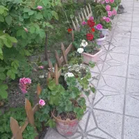 ویلایی-فروشی-در-بهترین-منطقه-قاسم-آباد