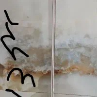 رگال|کتابخانه، شلف، قفسههای دیواری|بروجرد, |دیوار