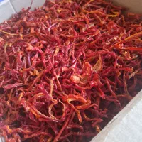پاپریکا|خوردنی و آشامیدنی|تهران, فلاح|دیوار